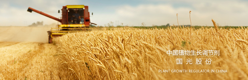 ��(j��)�ϻ�혌�(zhu��n)���}(c��ng)��(k��)�\,�}(c��ng)��(ch��)�\,����бP(p��n),��бP(p��n),؛�����a(ch��n)�S��